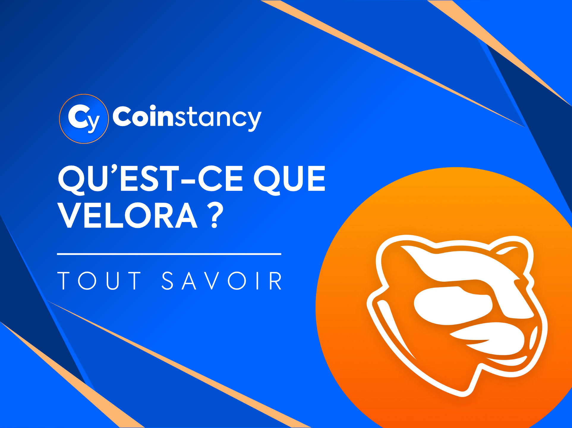 Qu'est-ce que Velora (Paraswap) ?