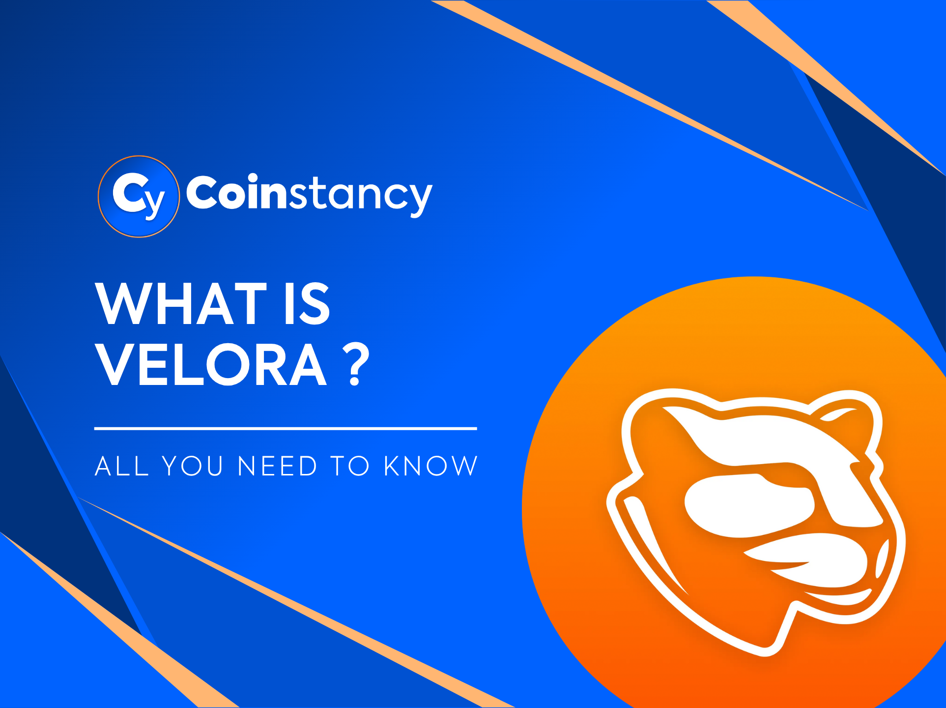 What is Velora (Paraswap) ?