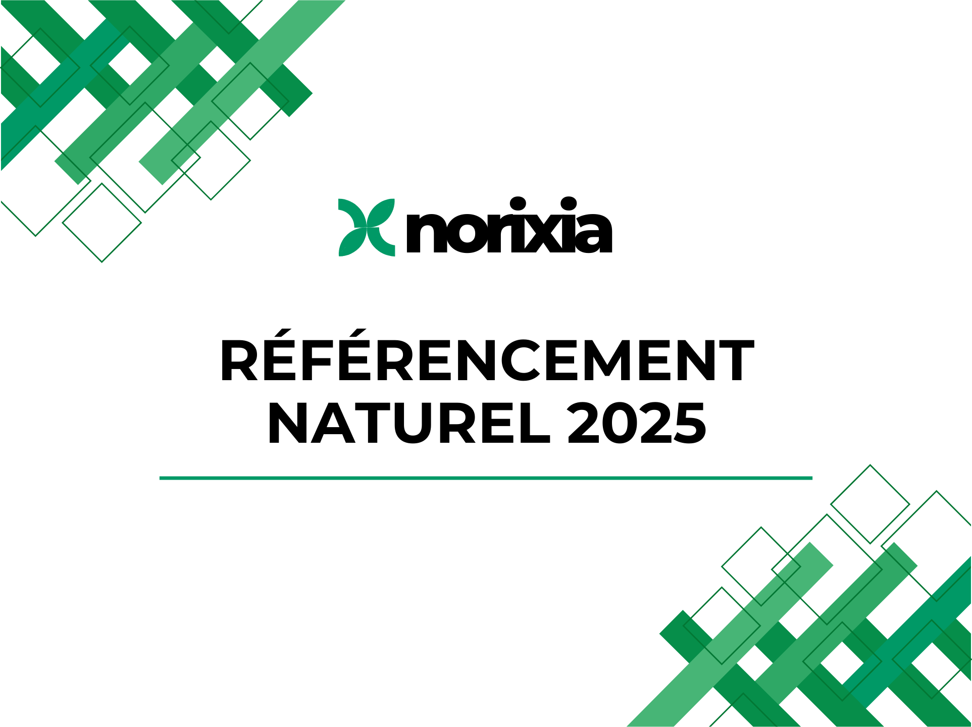 Référencement naturel 2025 : les techniques incontournables pour rester visible sur Google