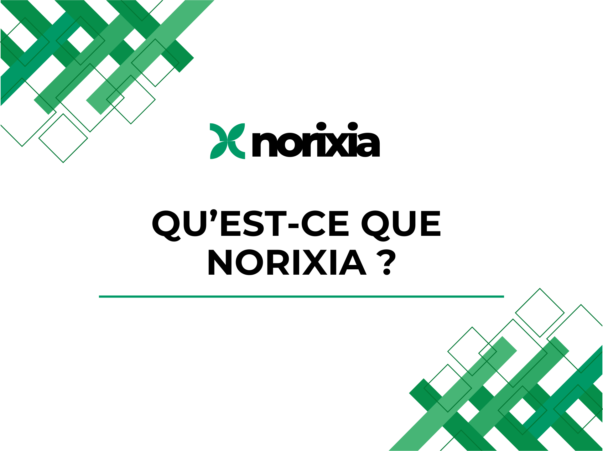 Qu’est-ce que Norixia ? Découvrez l’agence marketing digital qui propulse votre visibilité en ligne