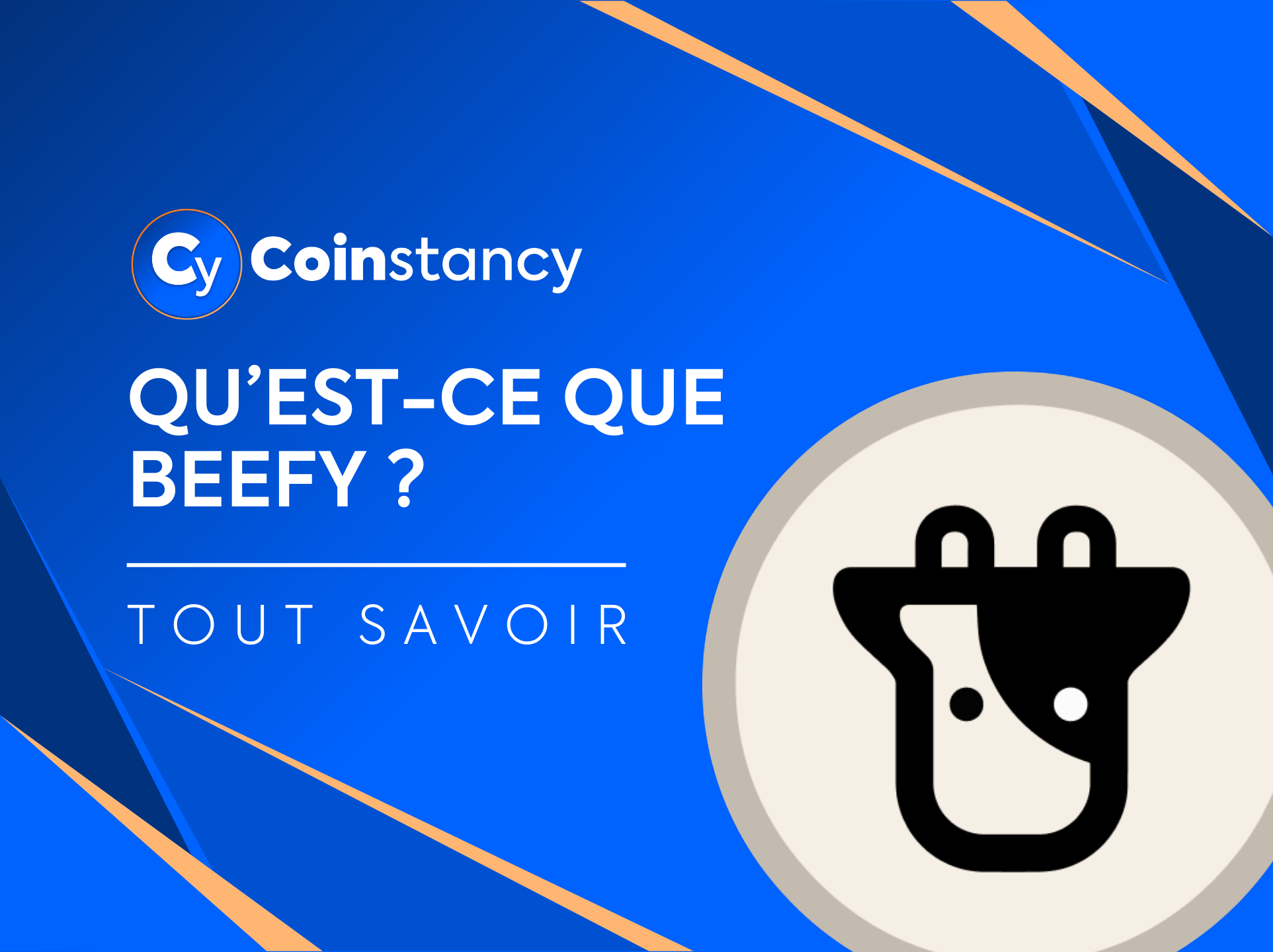 Qu’est-ce que Beefy ?