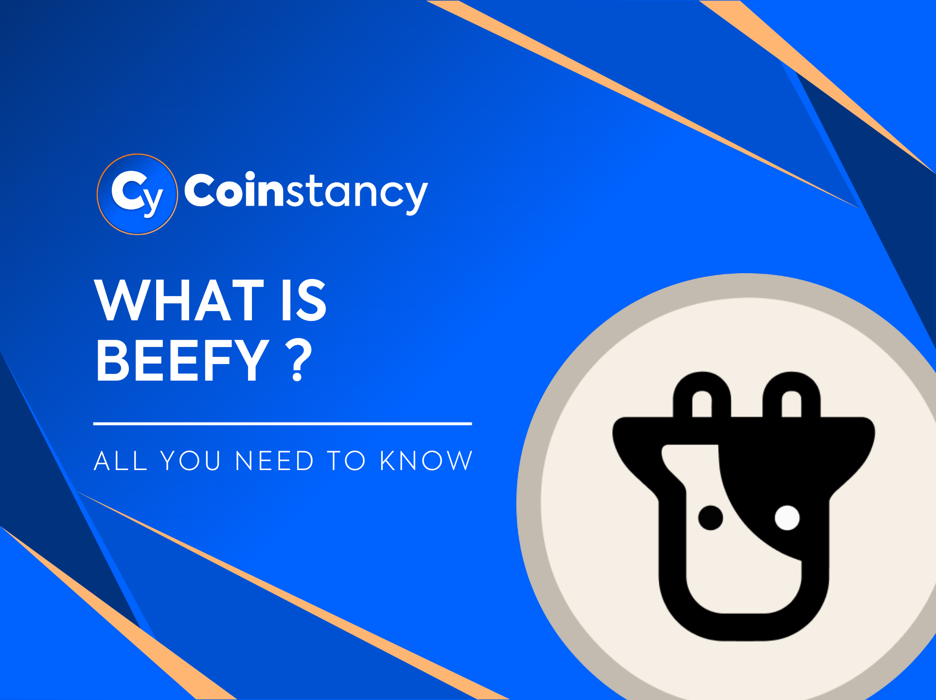 What is Beefy?