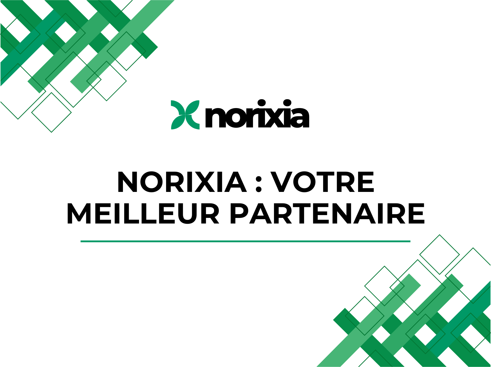 Norixia : votre partenaire pour une visibilité digitale durable