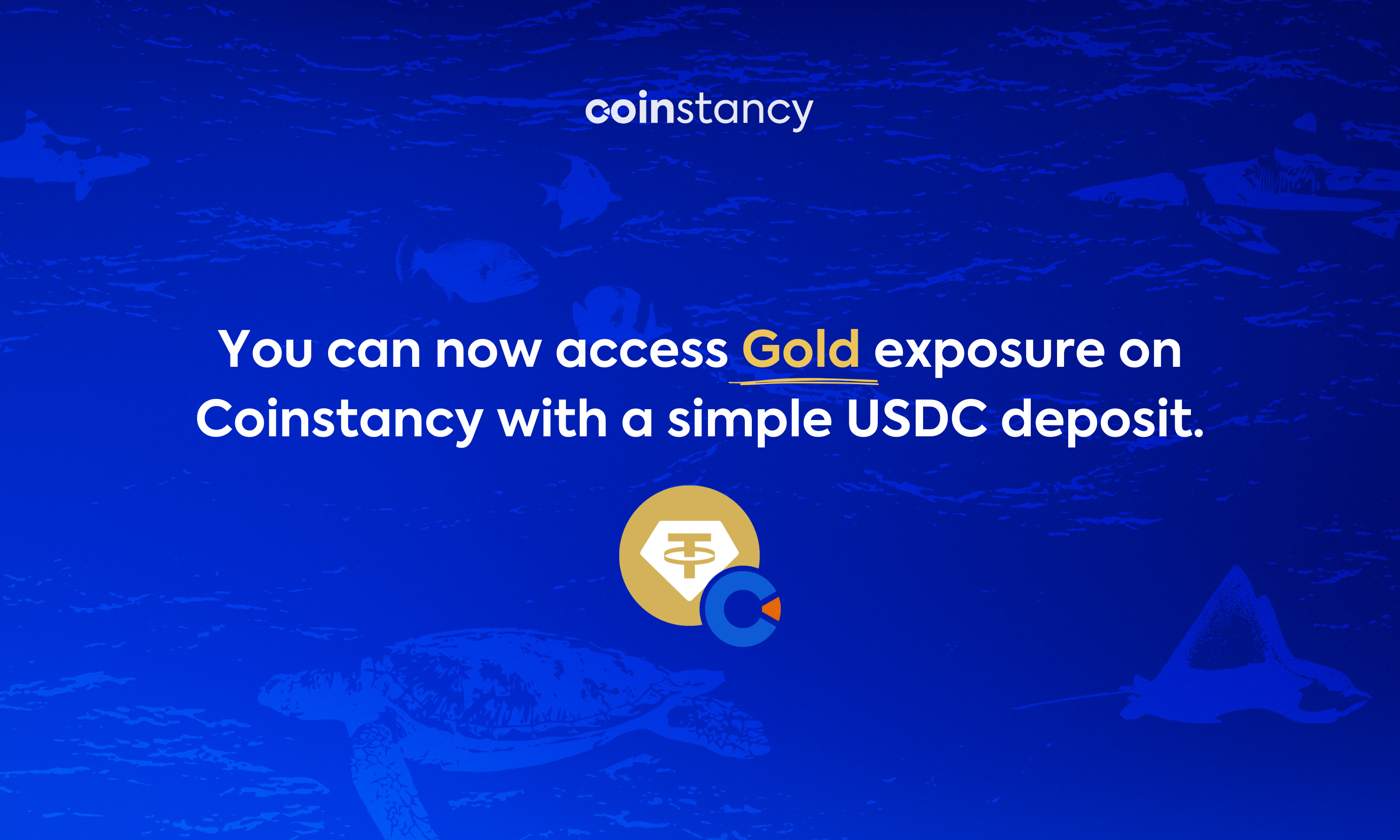 L’or devient accessible sur Coinstancy via l’USDC
